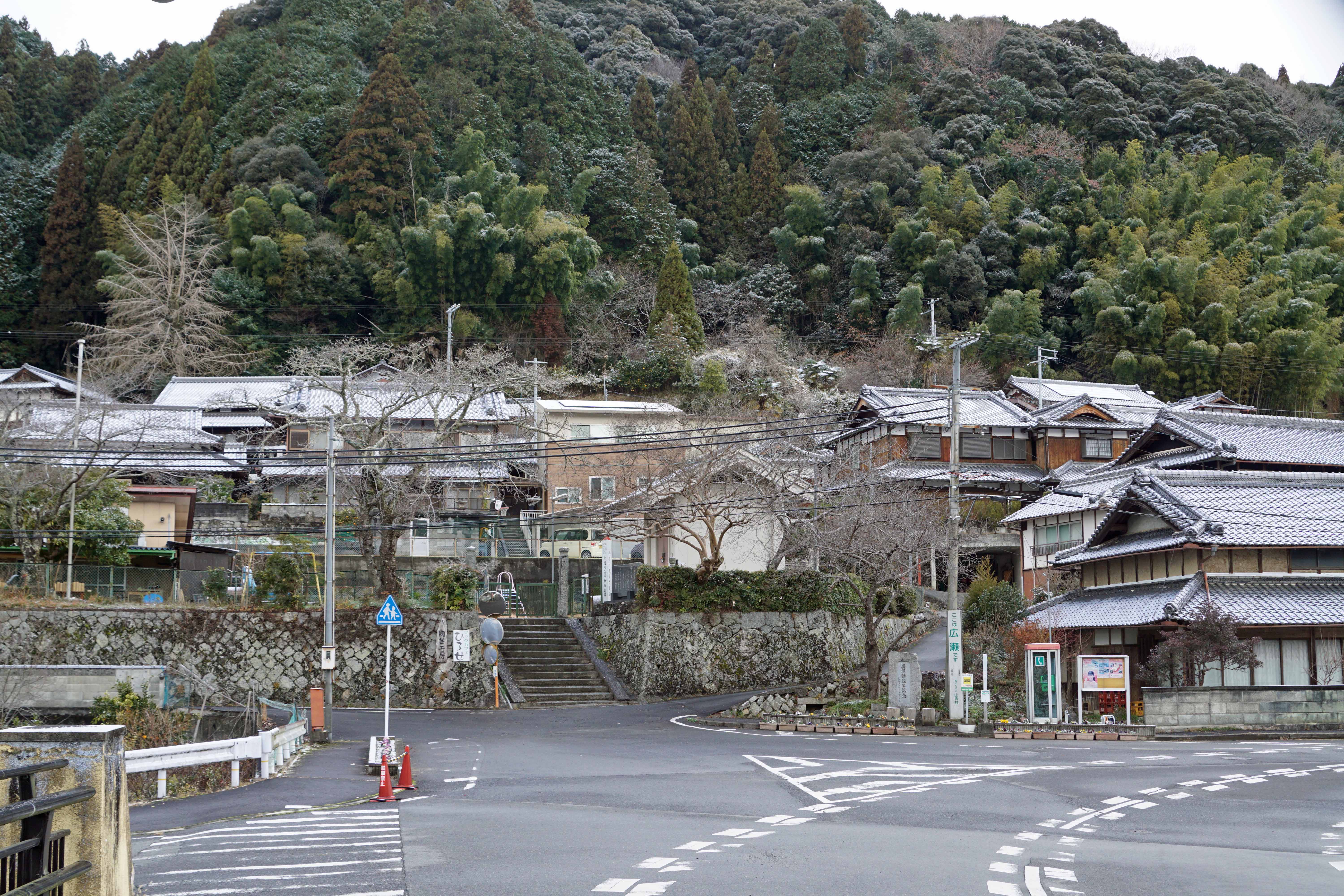 税込) 彼岸花赤 球根大 最終値下げ 宅急便コンパクト箱一杯